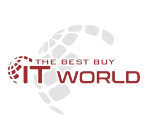 The Best Buy IT World
